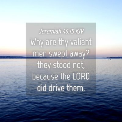 Picture 04 - Jeremiah 46:15 KJV - Why are thy valiant men swept away? they stood - Bible Verse Picture