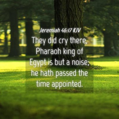 Picture 04 - Jeremiah 46:17 KJV - They did cry there, Pharaoh king of Egypt is but - Bible Verse Picture