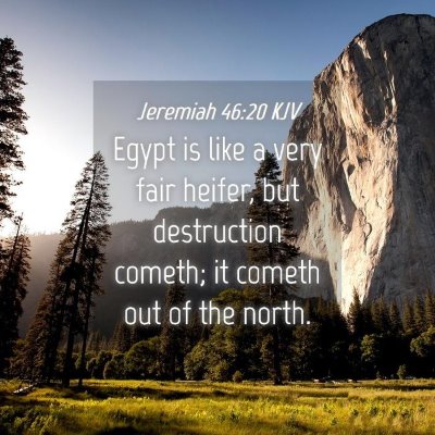 Picture 04 - Jeremiah 46:20 KJV - Egypt is like a very fair heifer, but destruction - Bible Verse Picture