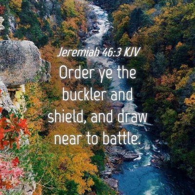 Picture 04 - Jeremiah 46:3 KJV - Order ye the buckler and shield, and draw near to - Bible Verse Picture