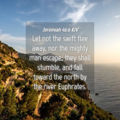 Picture 04 - Jeremiah 46:6 KJV - Let not the swift flee away, nor the mighty man - Bible Verse Picture