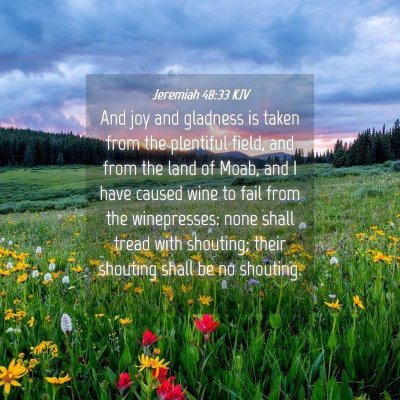 Picture 04 - Jeremiah 48:33 KJV - And joy and gladness is taken from the plentiful - Bible Verse Picture