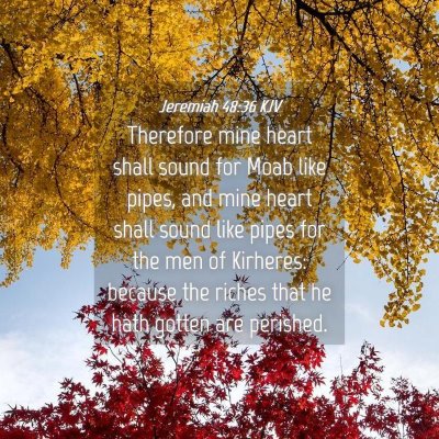 Picture 04 - Jeremiah 48:36 KJV - Therefore mine heart shall sound for Moab like - Bible Verse Picture