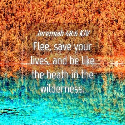 Picture 04 - Jeremiah 48:6 KJV - Flee, save your lives, and be like the heath in - Bible Verse Picture