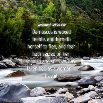 Picture 04 - Jeremiah 49:24 KJV - Damascus is waxed feeble, and turneth herself to - Bible Verse Picture