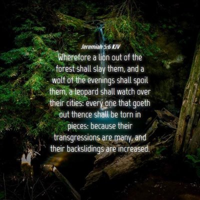 Picture 04 - Jeremiah 5:6 KJV - Wherefore a lion out of the forest shall slay - Bible Verse Picture