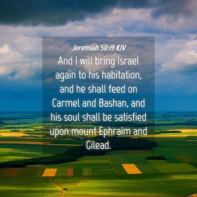 Picture 04 - Jeremiah 50:19 KJV - And I will bring Israel again to his habitation, - Bible Verse Picture