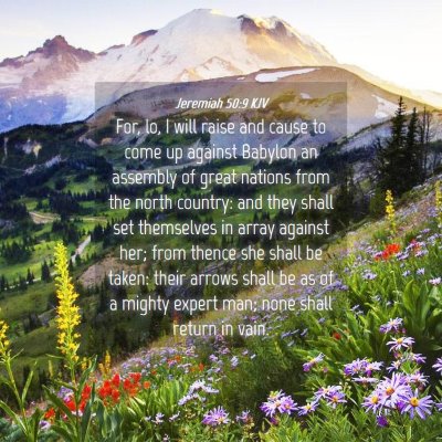 Picture 04 - Jeremiah 50:9 KJV - For, lo, I will raise and cause to come up - Bible Verse Picture