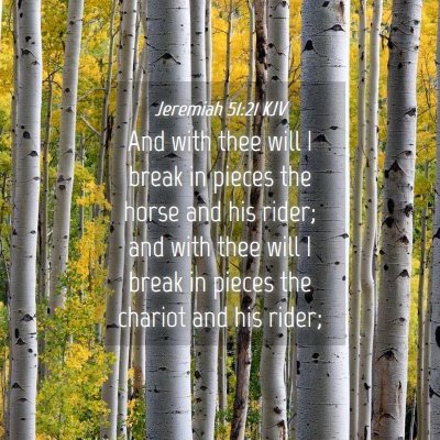 Picture 04 - Jeremiah 51:21 KJV - And with thee will I break in pieces the horse - Bible Verse Picture