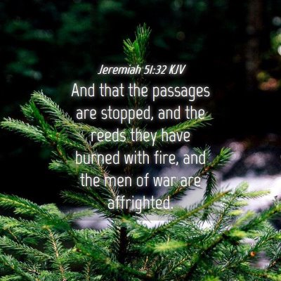 Picture 04 - Jeremiah 51:32 KJV - And that the passages are stopped, and the reeds - Bible Verse Picture