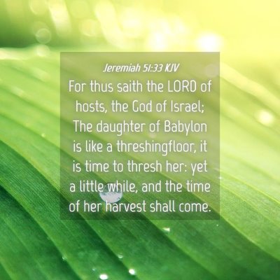 Picture 04 - Jeremiah 51:33 KJV - For thus saith the LORD of hosts, the God of - Bible Verse Picture