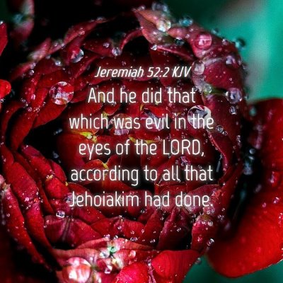 Picture 04 - Jeremiah 52:2 KJV - And he did that which was evil in the eyes of the - Bible Verse Picture