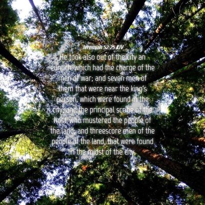 Picture 04 - Jeremiah 52:25 KJV - He took also out of the city an eunuch, which had - Bible Verse Picture