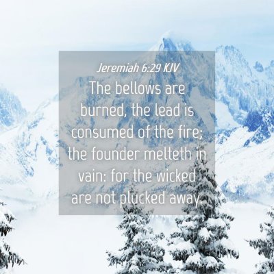 Picture 04 - Jeremiah 6:29 KJV - The bellows are burned, the lead is consumed of - Bible Verse Picture