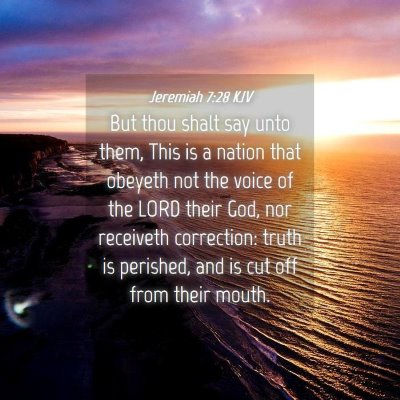 Picture 04 - Jeremiah 7:28 KJV - But thou shalt say unto them, This is a nation - Bible Verse Picture