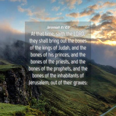 Picture 04 - Jeremiah 8:1 KJV - At that time, saith the LORD, they shall bring - Bible Verse Picture