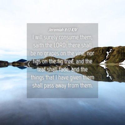 Picture 04 - Jeremiah 8:13 KJV - I will surely consume them, saith the LORD: there - Bible Verse Picture