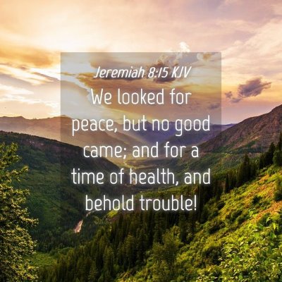 Picture 04 - Jeremiah 8:15 KJV - We looked for peace, but no good came; and for a - Bible Verse Picture