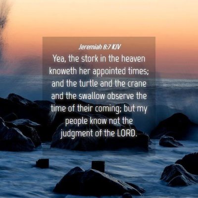 Picture 04 - Jeremiah 8:7 KJV - Yea, the stork in the heaven knoweth her - Bible Verse Picture