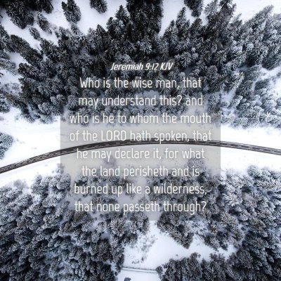 Picture 04 - Jeremiah 9:12 KJV - Who is the wise man, that may understand this? - Bible Verse Picture