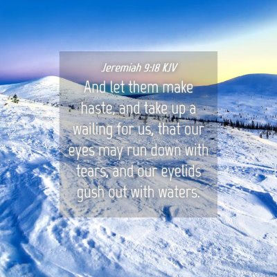 Picture 04 - Jeremiah 9:18 KJV - And let them make haste, and take up a wailing - Bible Verse Picture