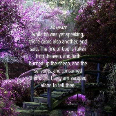 Picture 04 - Job 1:16 KJV - While he was yet speaking, there came also - Bible Verse Picture