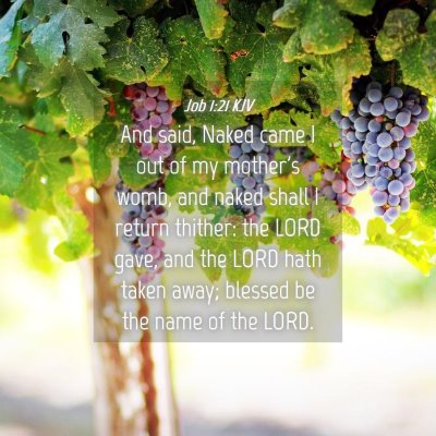 Picture 04 - Job 1:21 KJV - And said, Naked came I out of my mother's womb, - Bible Verse Picture
