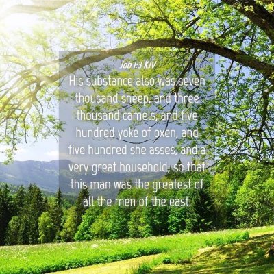 Picture 04 - Job 1:3 KJV - His substance also was seven thousand sheep, and - Bible Verse Picture