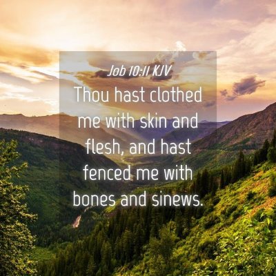 Picture 04 - Job 10:11 KJV - Thou hast clothed me with skin and flesh, and - Bible Verse Picture