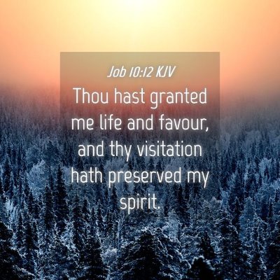 Picture 04 - Job 10:12 KJV - Thou hast granted me life and favour, and thy - Bible Verse Picture