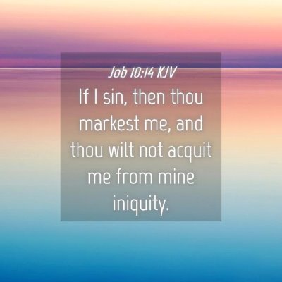 Picture 04 - Job 10:14 KJV - If I sin, then thou markest me, and thou wilt not - Bible Verse Picture