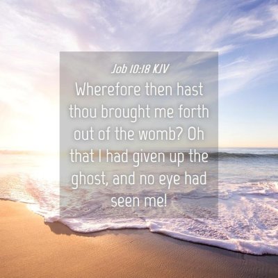 Picture 04 - Job 10:18 KJV - Wherefore then hast thou brought me forth out of - Bible Verse Picture