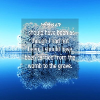 Picture 04 - Job 10:19 KJV - I should have been as though I had not been; I - Bible Verse Picture
