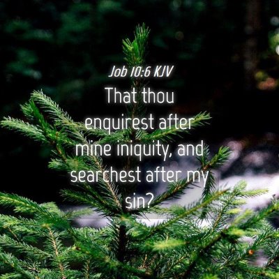 Picture 04 - Job 10:6 KJV - That thou enquirest after mine iniquity, and - Bible Verse Picture