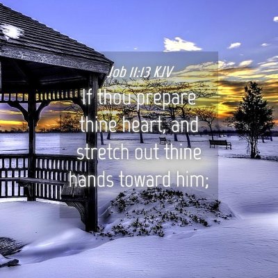 Picture 04 - Job 11:13 KJV - If thou prepare thine heart, and stretch out - Bible Verse Picture