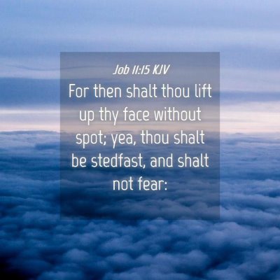 Picture 04 - Job 11:15 KJV - For then shalt thou lift up thy face without - Bible Verse Picture