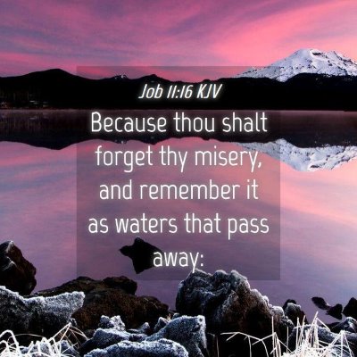Picture 04 - Job 11:16 KJV - Because thou shalt forget thy misery, and - Bible Verse Picture