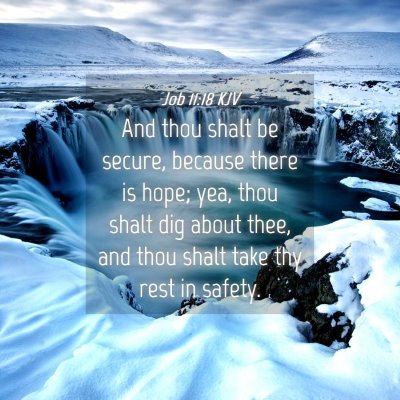 Picture 04 - Job 11:18 KJV - And thou shalt be secure, because there is hope; - Bible Verse Picture