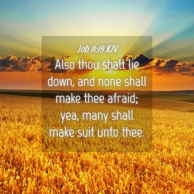 Picture 04 - Job 11:19 KJV - Also thou shalt lie down, and none shall make - Bible Verse Picture