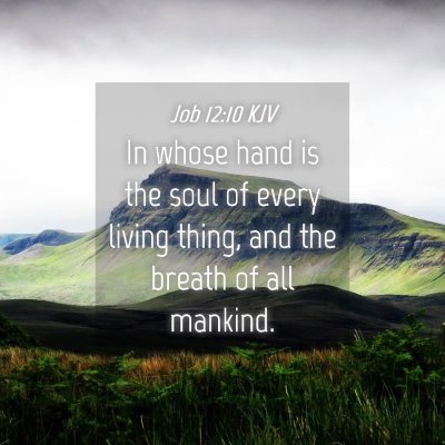 Picture 04 - Job 12:10 KJV - In whose hand is the soul of every living thing, - Bible Verse Picture