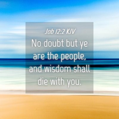 Picture 04 - Job 12:2 KJV - No doubt but ye are the people, and wisdom shall - Bible Verse Picture