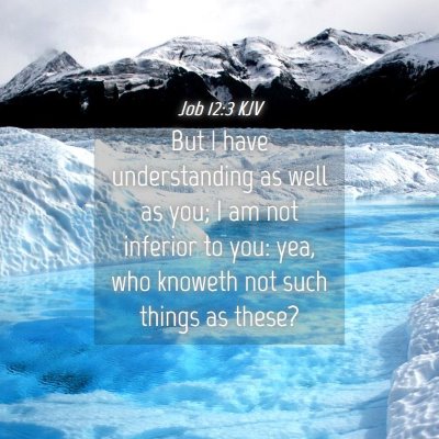 Picture 04 - Job 12:3 KJV - But I have understanding as well as you; I am not - Bible Verse Picture