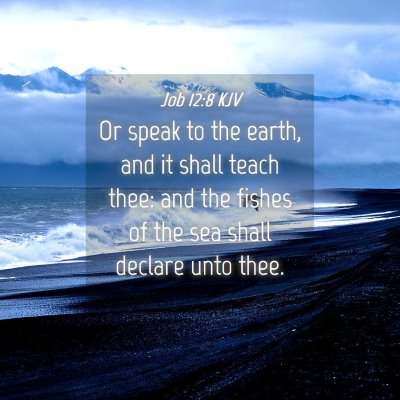 Picture 04 - Job 12:8 KJV - Or speak to the earth, and it shall teach thee: - Bible Verse Picture