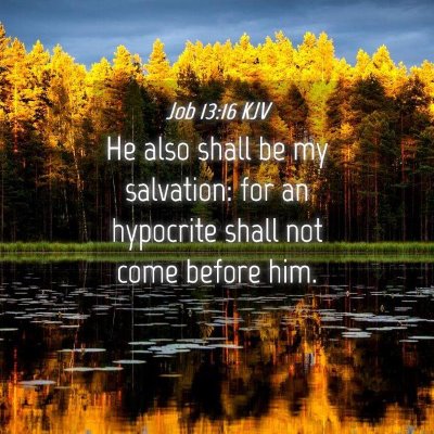 Picture 04 - Job 13:16 KJV - He also shall be my salvation: for an hypocrite - Bible Verse Picture