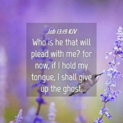 Picture 04 - Job 13:19 KJV - Who is he that will plead with me? for now, if I - Bible Verse Picture