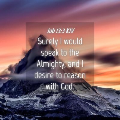 Picture 04 - Job 13:3 KJV - Surely I would speak to the Almighty, and I - Bible Verse Picture