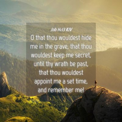 Picture 04 - Job 14:13 KJV - O that thou wouldest hide me in the grave, that - Bible Verse Picture