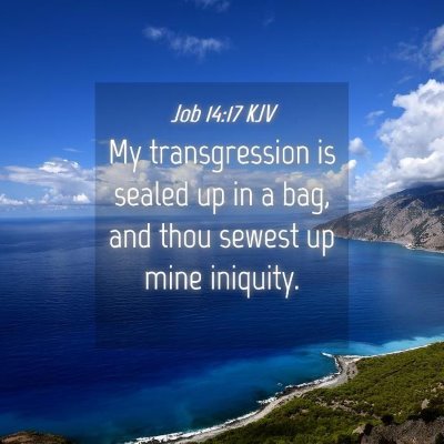 Picture 04 - Job 14:17 KJV - My transgression is sealed up in a bag, and thou - Bible Verse Picture