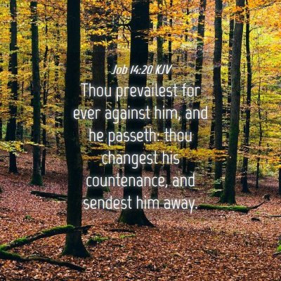 Picture 04 - Job 14:20 KJV - Thou prevailest for ever against him, and he - Bible Verse Picture