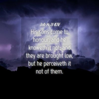 Picture 04 - Job 14:21 KJV - His sons come to honour, and he knoweth it not; - Bible Verse Picture